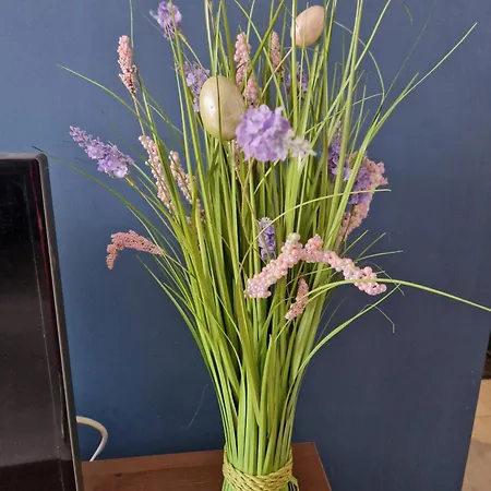 Szafirowy Multi House Apartmán